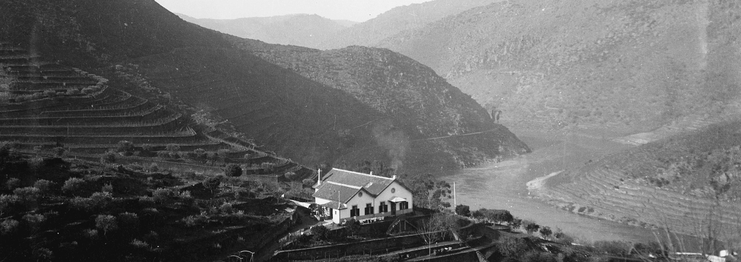 Banner – Taylor’s Quinta de Vargellas old photograph